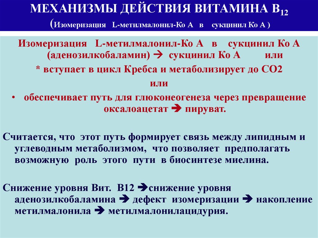 Действие б. Витамин б12 механизм действия фармакология. Витамин b12 механизм действия. Механизм действия витамина в12. Механизм действия Кетаминов.