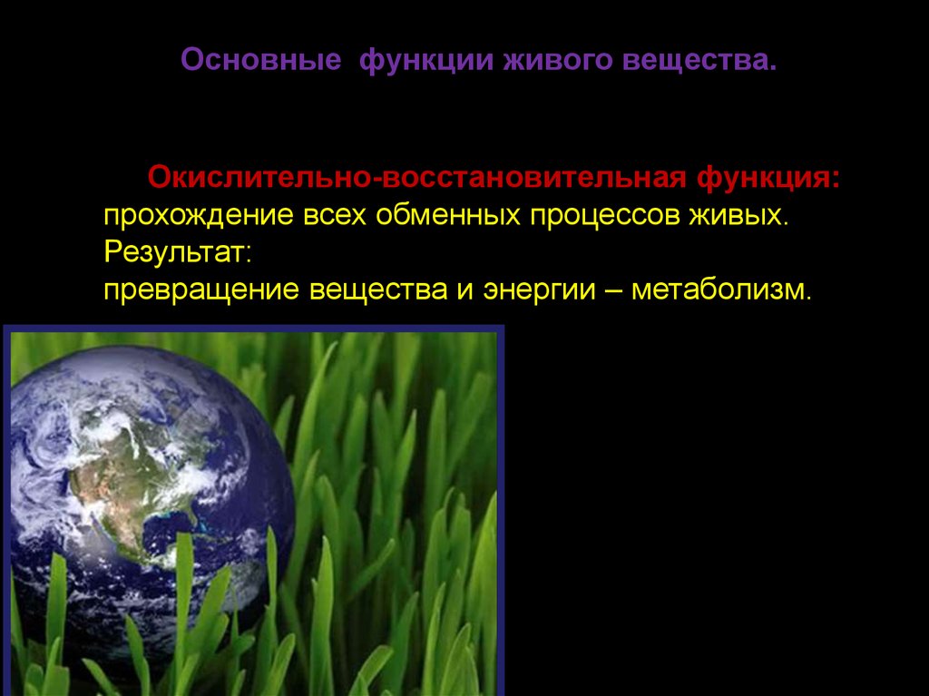 Процессы живого. Окислительно-восстановительная функция живого вещества. Окислительно восстановительная роль живого вещества. Окислительная функция живого вещества. Окислительно-восстановительная функция живого вещества в биосфере.