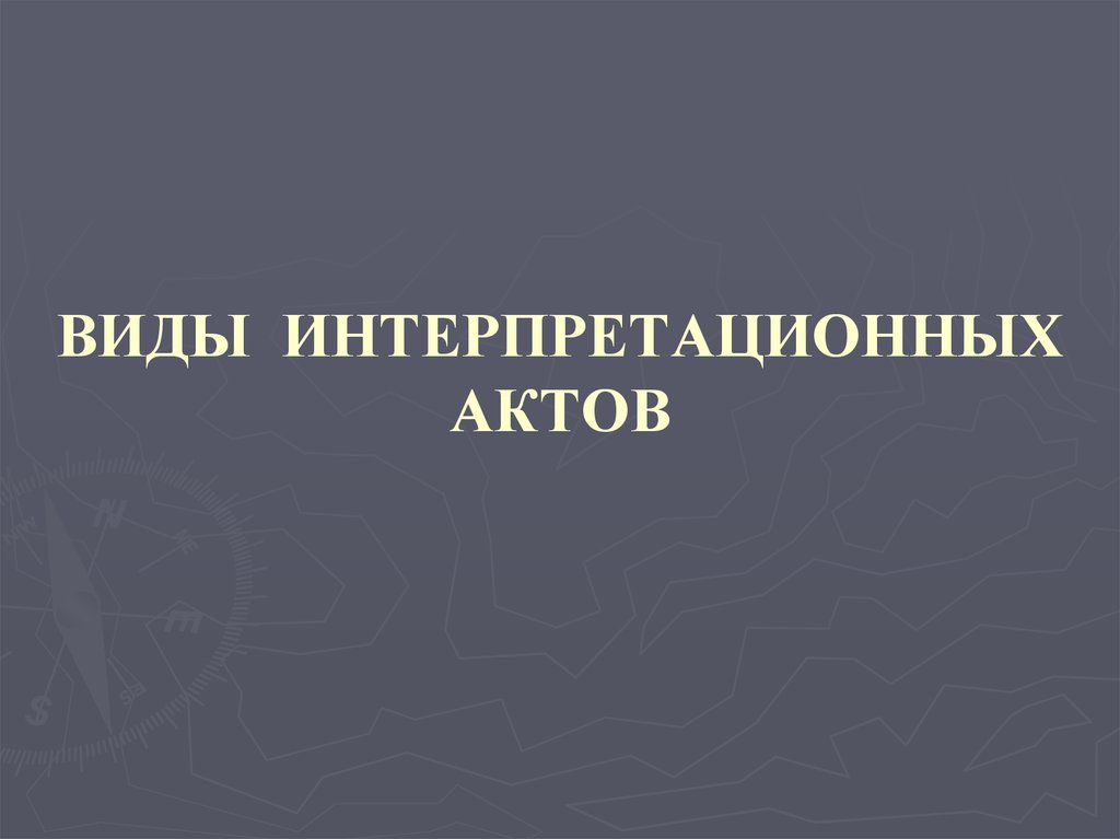 Проект интерпретационного акта