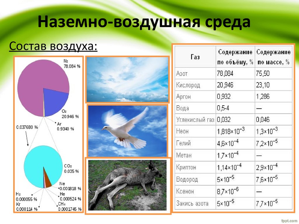 Количество кислорода в наземно воздушной среде обитания