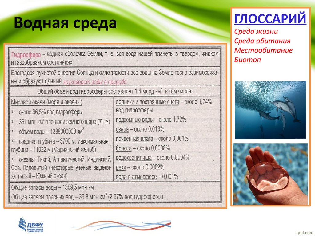 Укажите среду водных. Количество воды в водной среде. Сколько воды в водной среде. Среда окруженная вокруг водой.