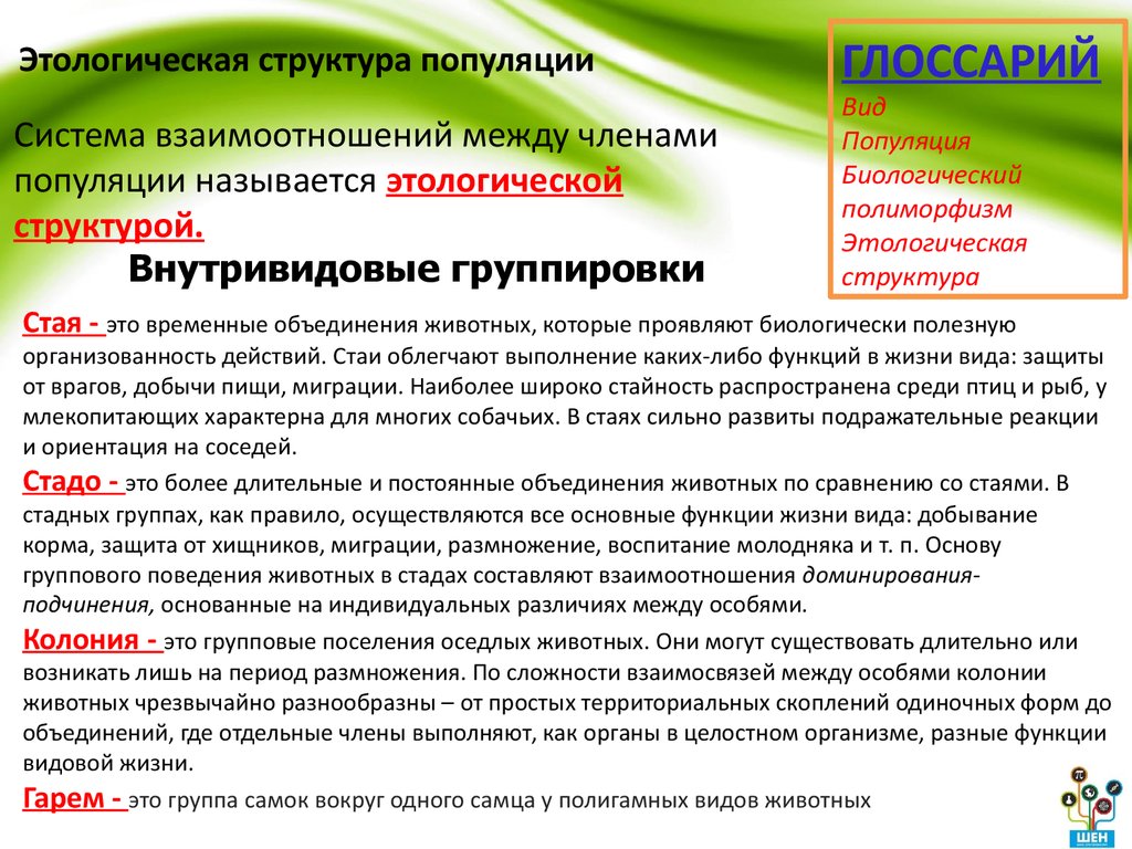 Презентация структура популяций типы взаимодействия популяций разных видов