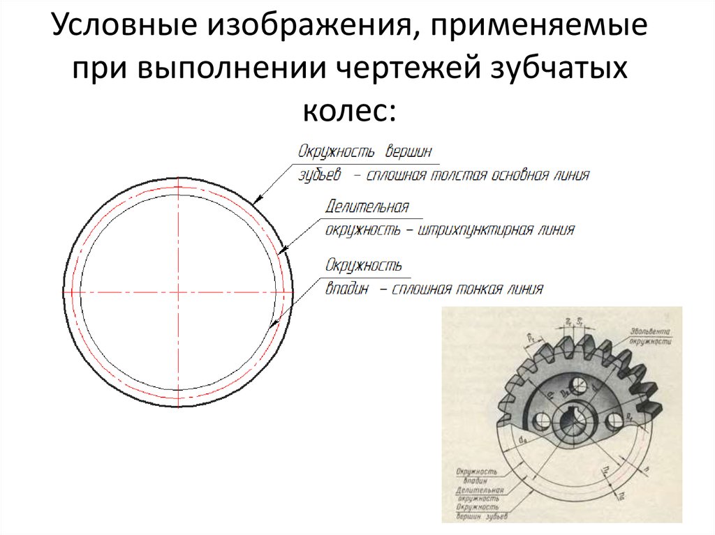 Условные изображения, применяемые при выполнении чертежей зубчатых колес: