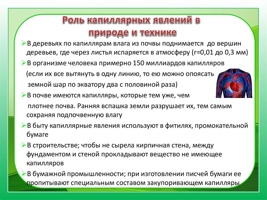 Явление роли. Капиллярные явления в природе. Значение капиллярных явлений в природе и технике. Капиллярные явления в природе и технике. Применение капиллярных явлений.