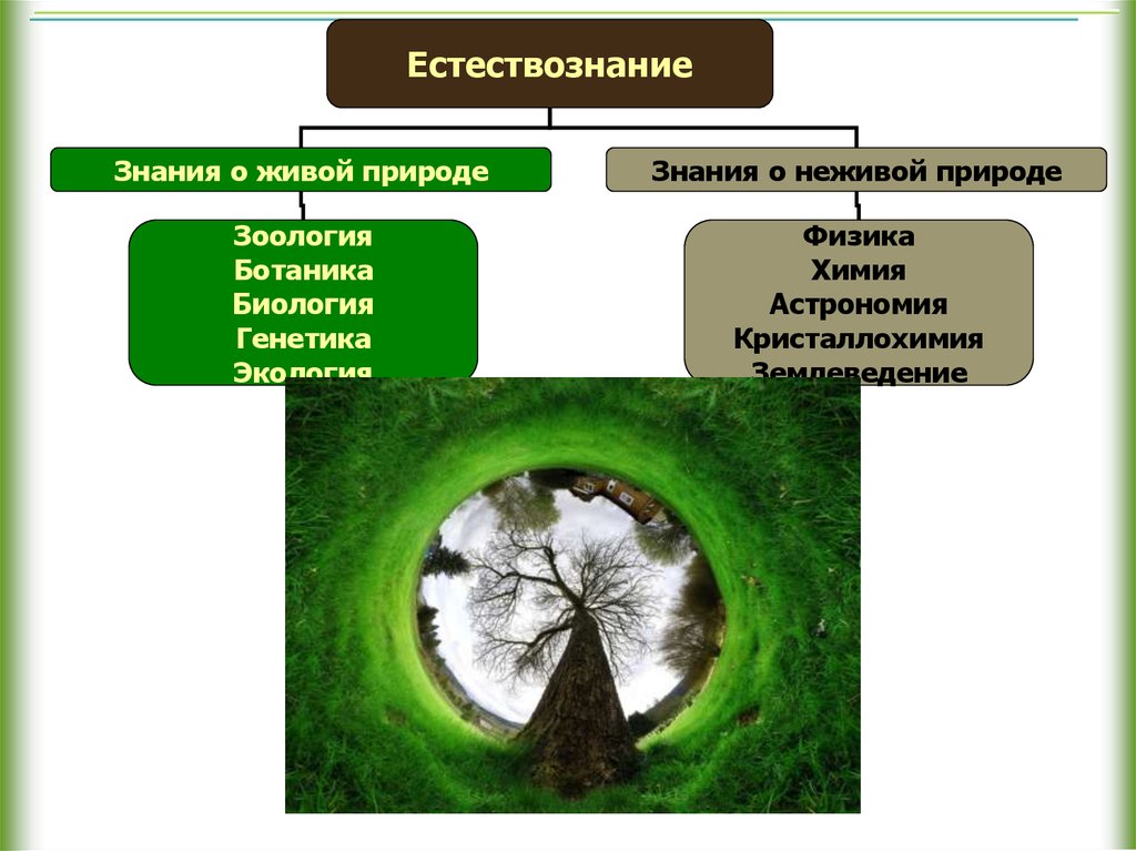 Наука изучающая знания. Естествознание наука о природе. Науки составляющие Естествознание. Естествознание совокупность научных знаний о природе. Что изучает Естествознание как наука.