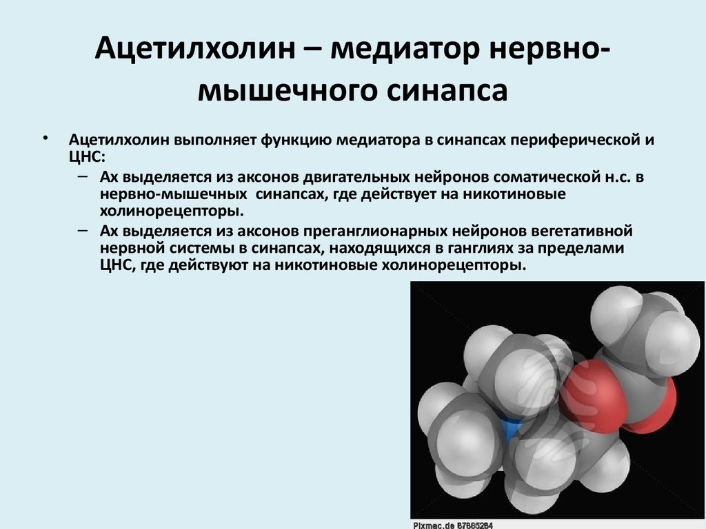 Химическое вещество действующее. Ацетилхолин медиатор функции. Ацетилхолин функции. Роль медиаторов ацетилхолина. Нейромедиатор ацетилхолин.