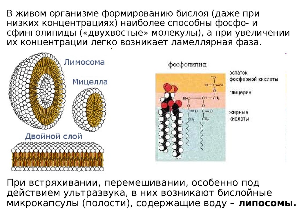 Коллоидная частица обладающая положительным зарядом образуется в реакциях схемы которых имеют вид