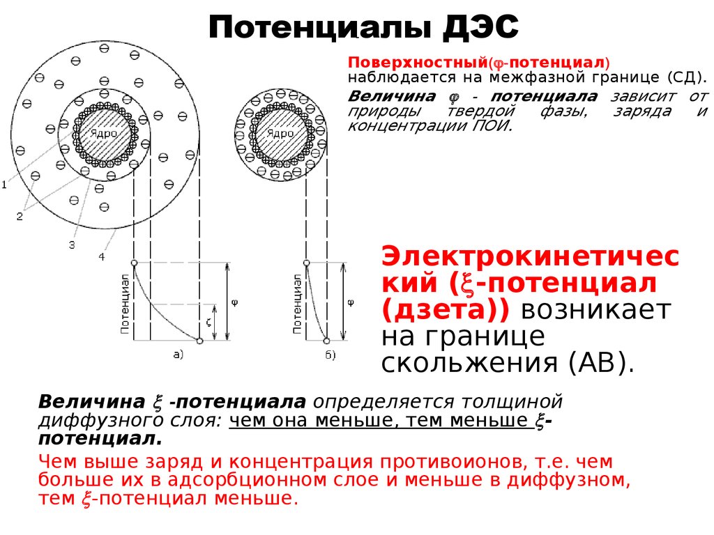 Схема строения коллоидной частицы