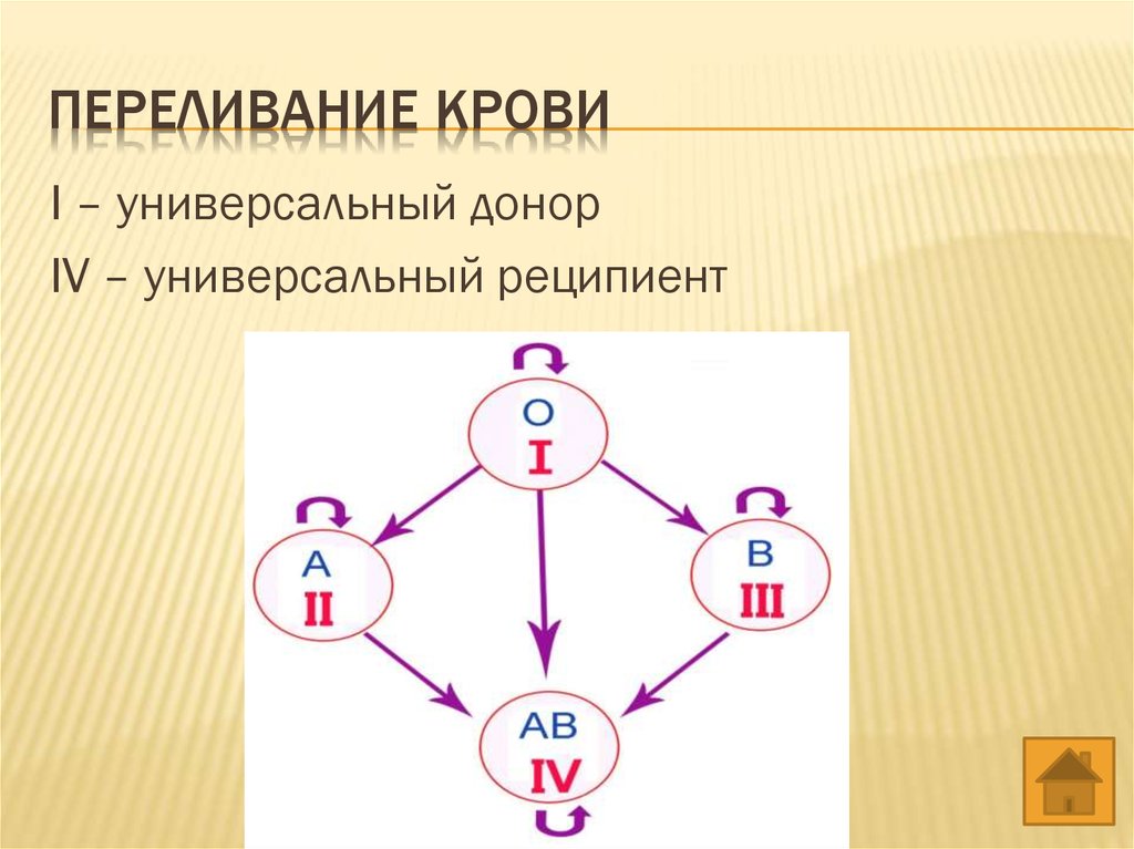 Схема переливания крови рисунок