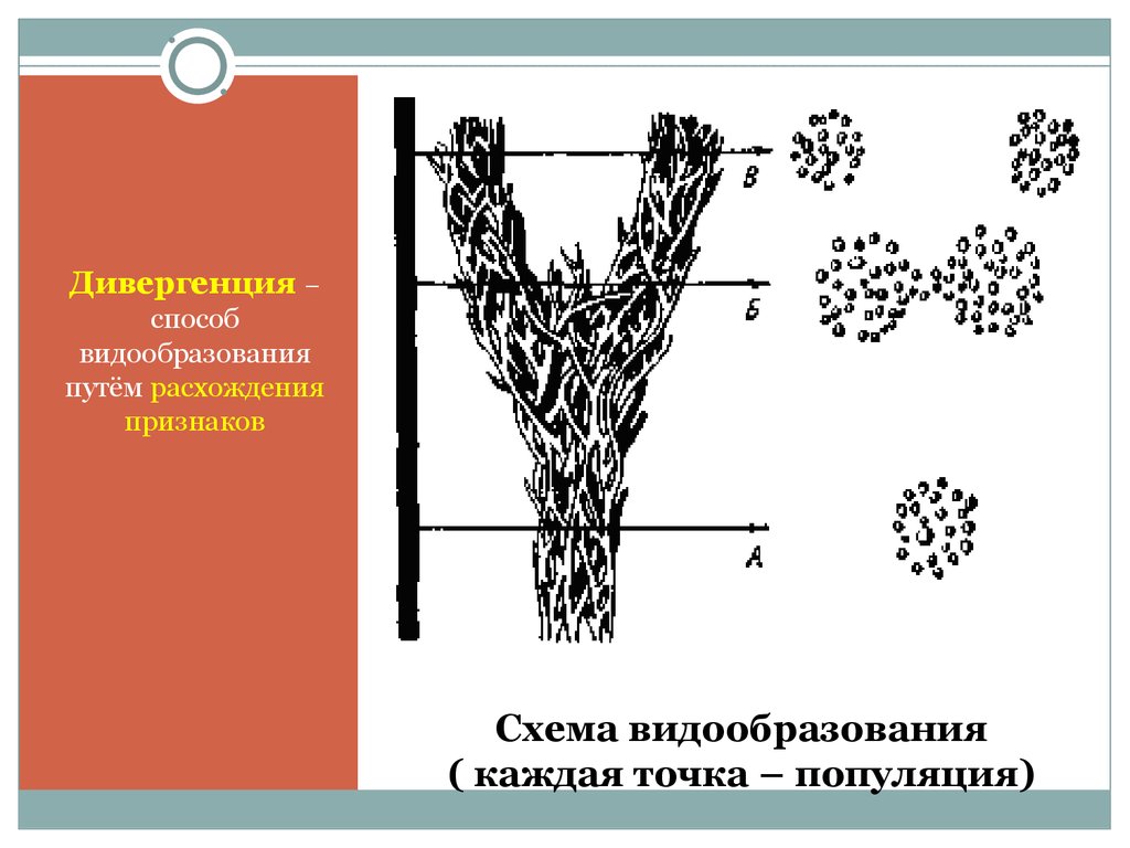 Какой способ представлен на рисунке