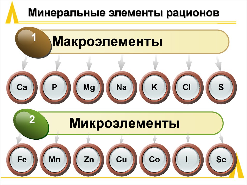 Минеральные элементы