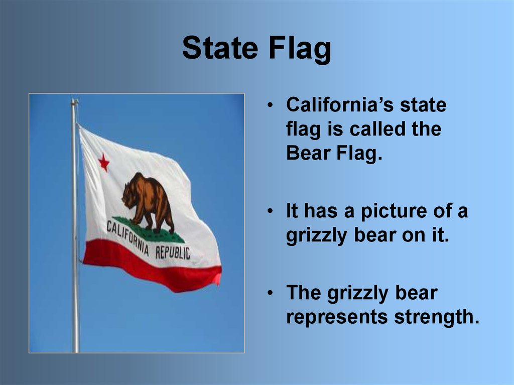 state-symbols-california