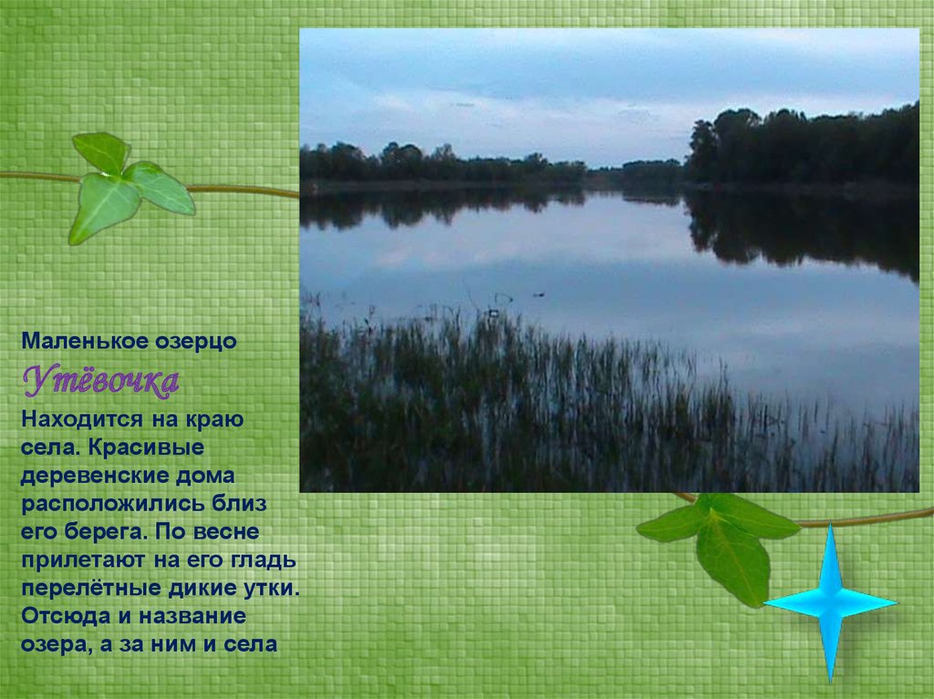 Чудо озерцо стих. Название озера ща г Клин. Описание небольшого озерца с тропами.
