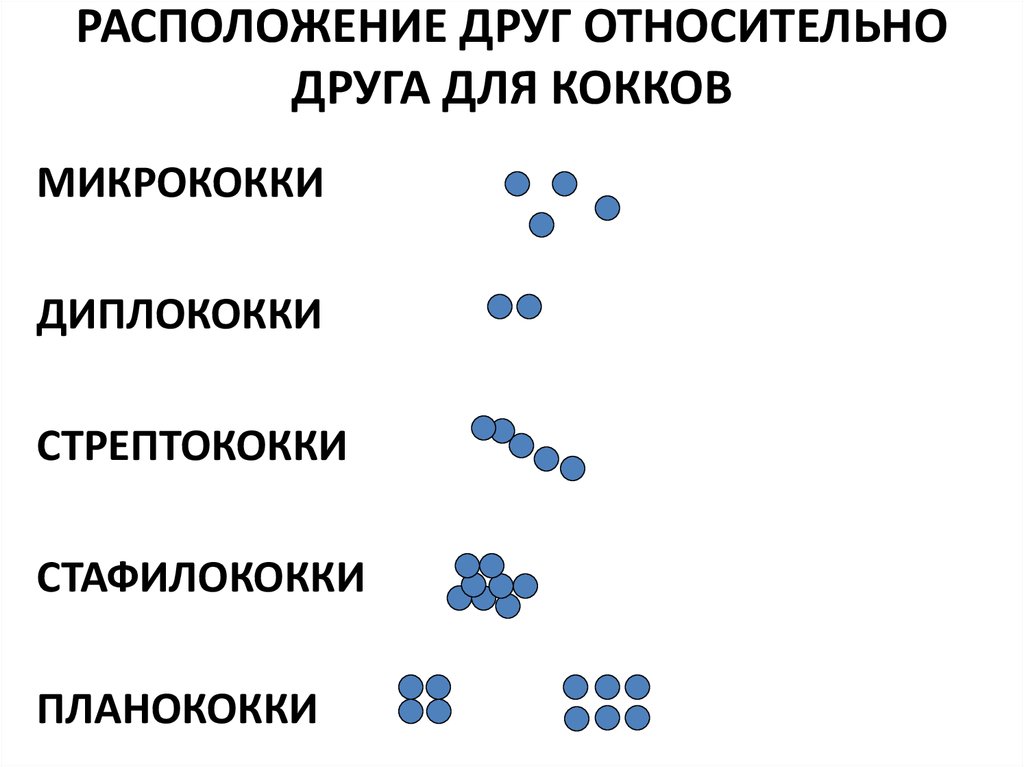 Друг расположений