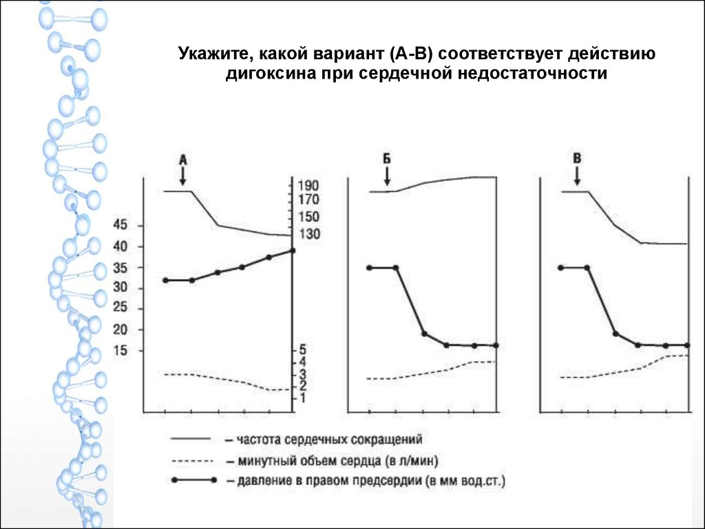 Сердечные гликозиды. Противоаритмические средства - презентация онлайн