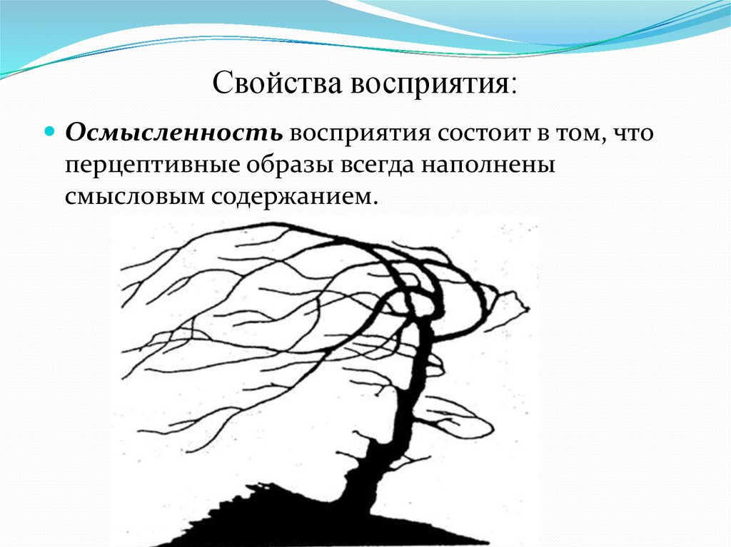 На основании детских рисунков психолог устанавливает особенности восприятия детьми предметов ответ