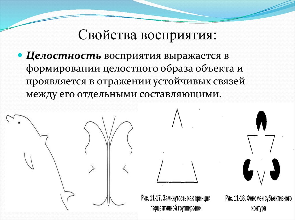 Целостный чувственный образ объекта. Свойства восприятия целостность. Целостность как свойство восприятия. Целостность в психологии примеры. Пример целостности восприятия в психологии.