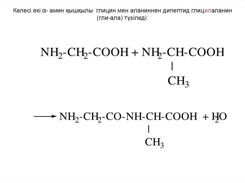 Гидролиз глицилаланина