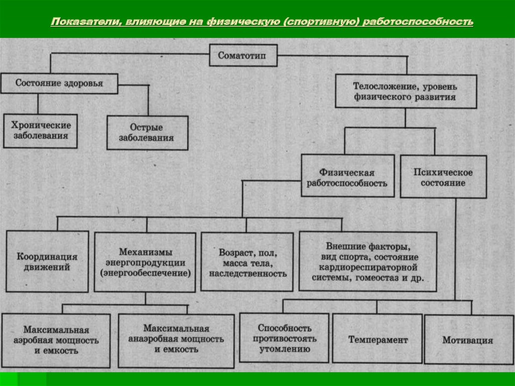 Показатели влияющие. Факторы влияющие на работоспособность. Факторы спортивной работоспособности?. Факторы, не влияющие на физическую работоспособность:. Работоспособность факторы влияющие на работоспособность.