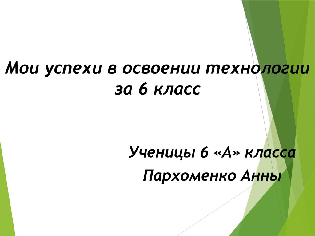 Презентация мои успехи в освоении технологии 6 класс