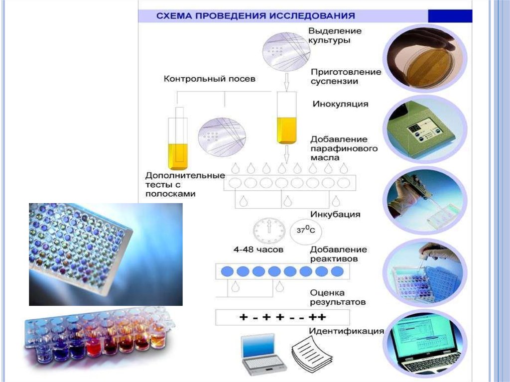 Схема применение микроорганизмов