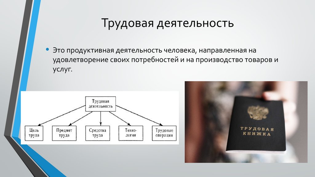 Виды деятельности человека и их особенности презентация