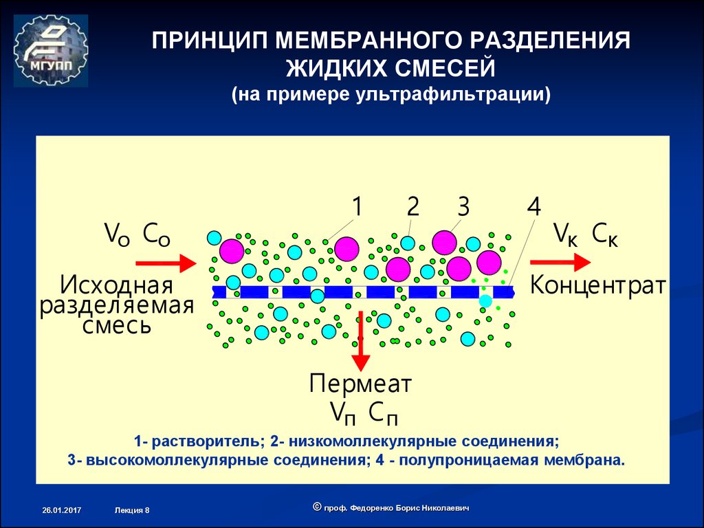 Мембрана мембранные