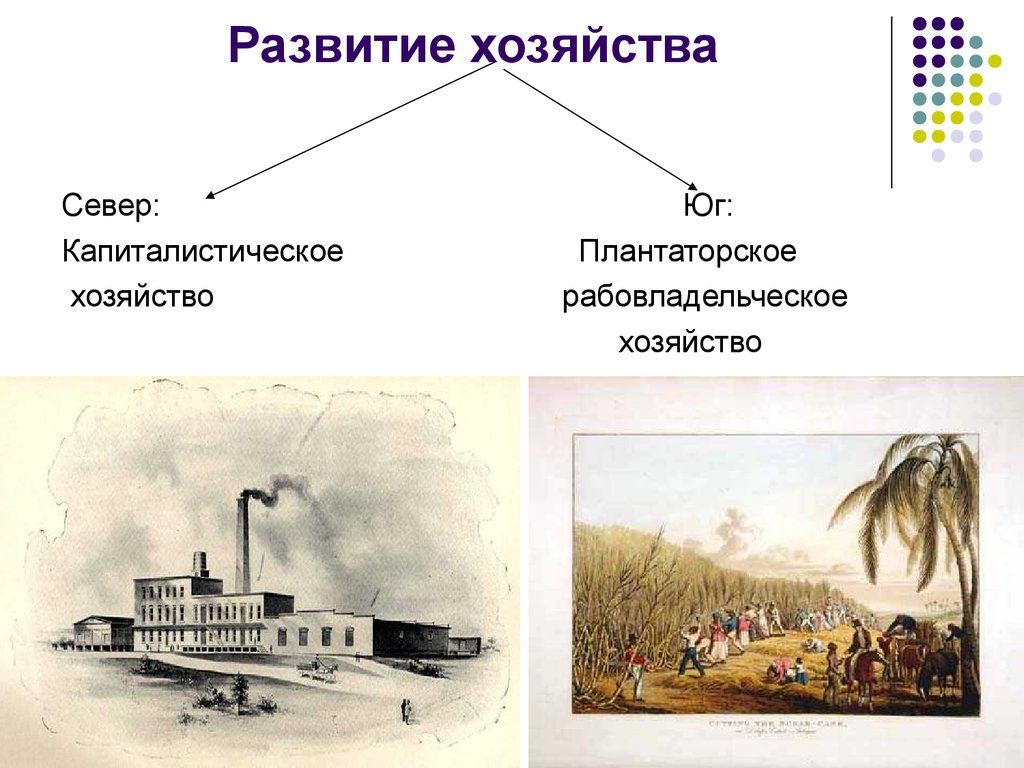 Капиталистическое хозяйство. Плантационное хозяйство на юге США 19. Север США 19 век. Капиталистические хозяйства в 19 веке.