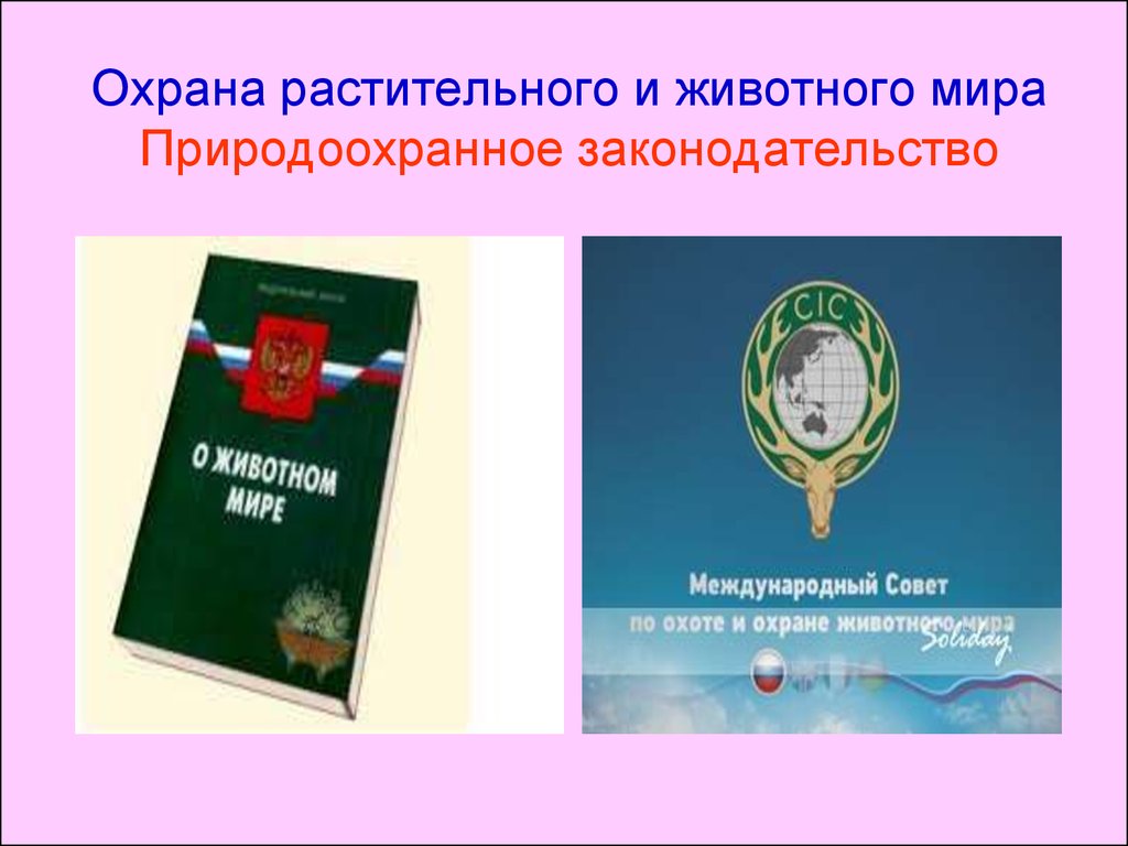 Презентация охрана растительного мира 6 класс биология