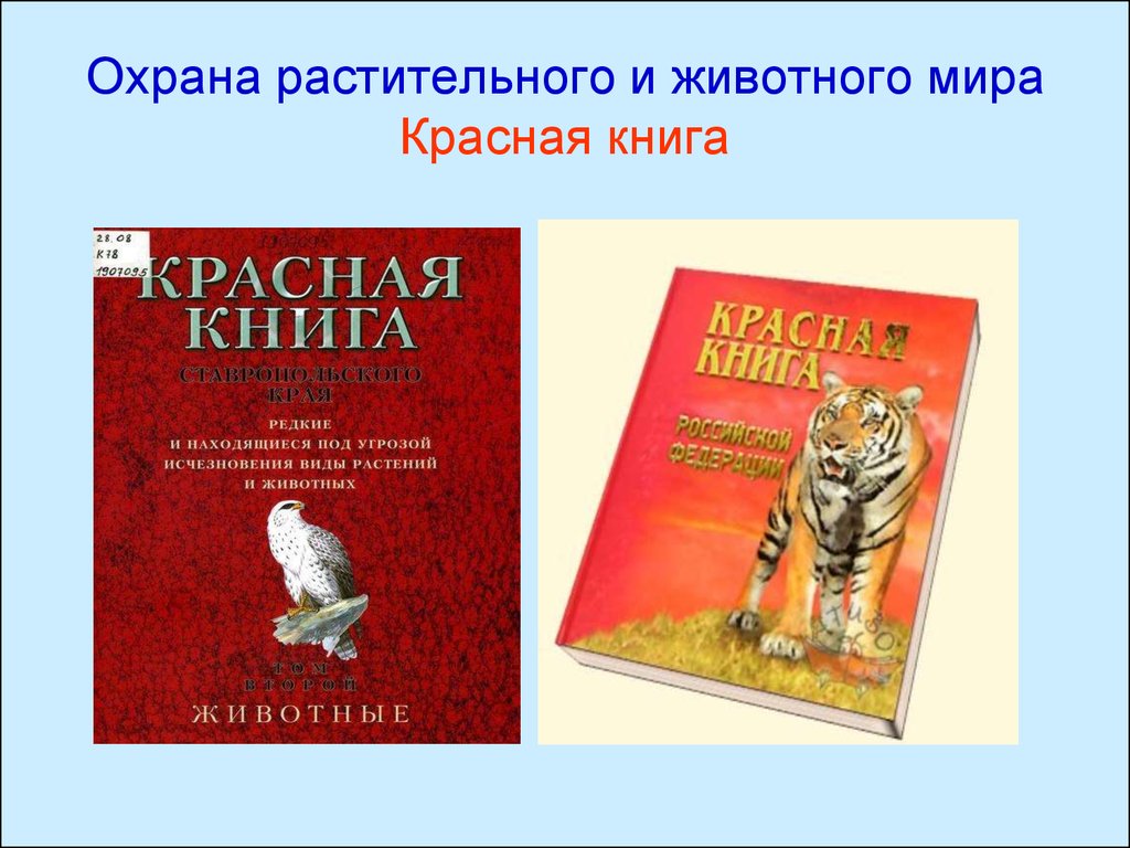 Проект по охране растительного и животного мира