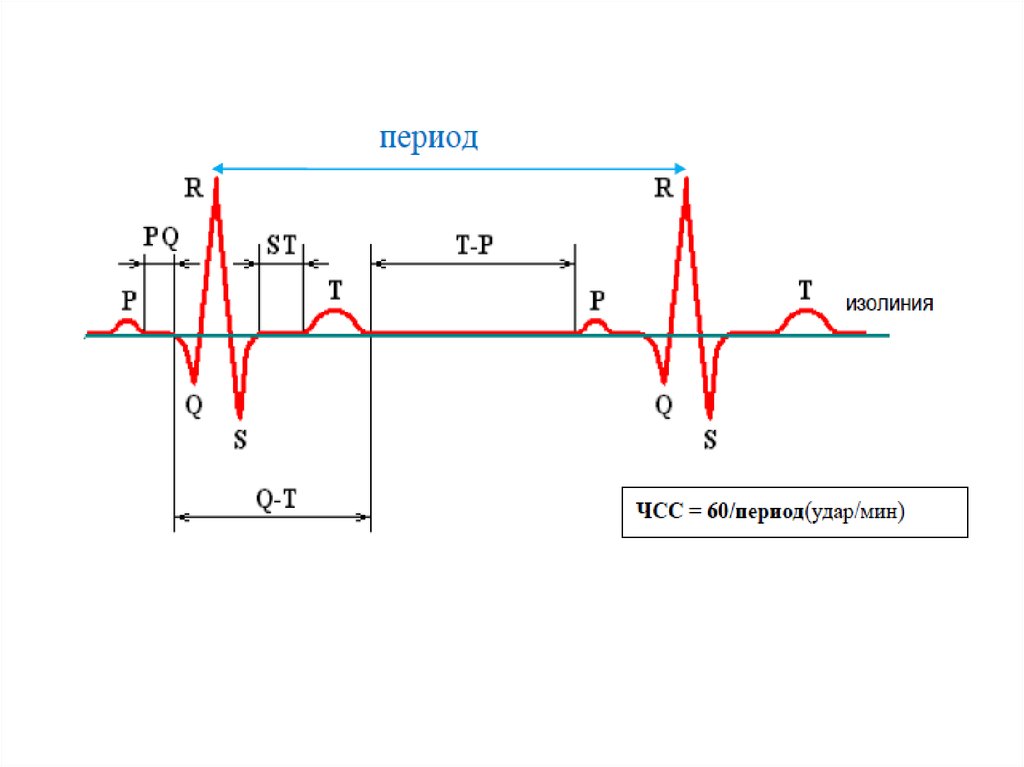 Физические основы электрокардиографии презентация