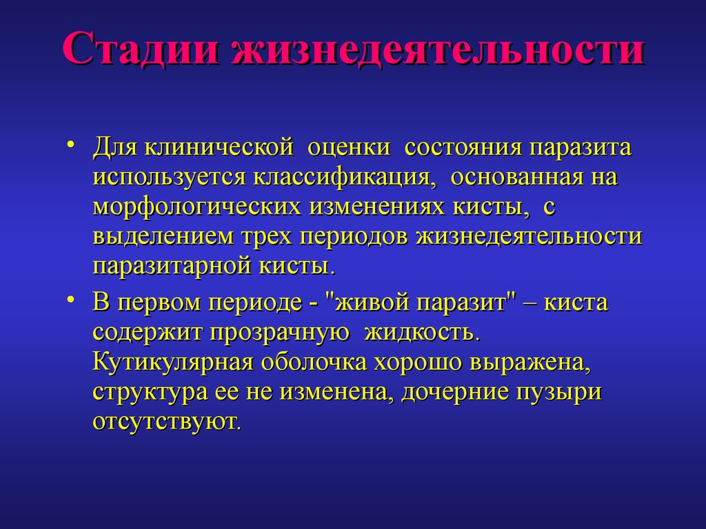 Клиническая оценка. Классификация эхинококкоза. Стадии жизнедеятельности. Стадии жизнедеятельности человека. Фазы жизнедеятельности.