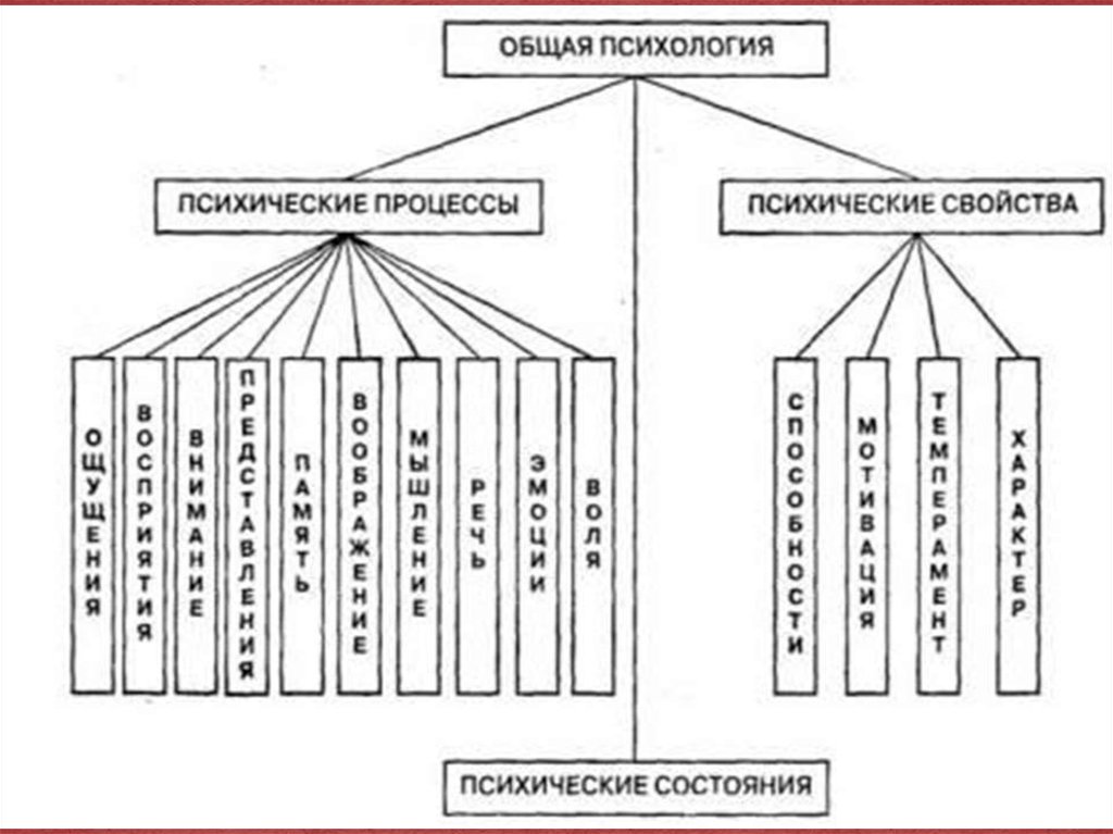         PPT