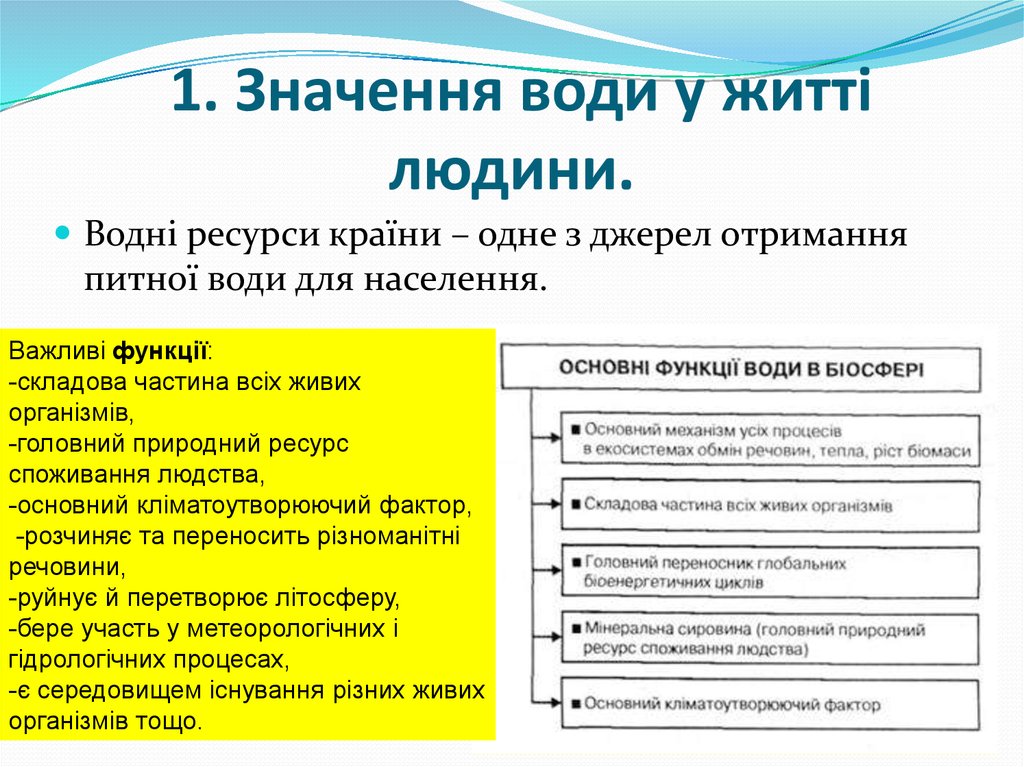 1. Значення води у житті людини.