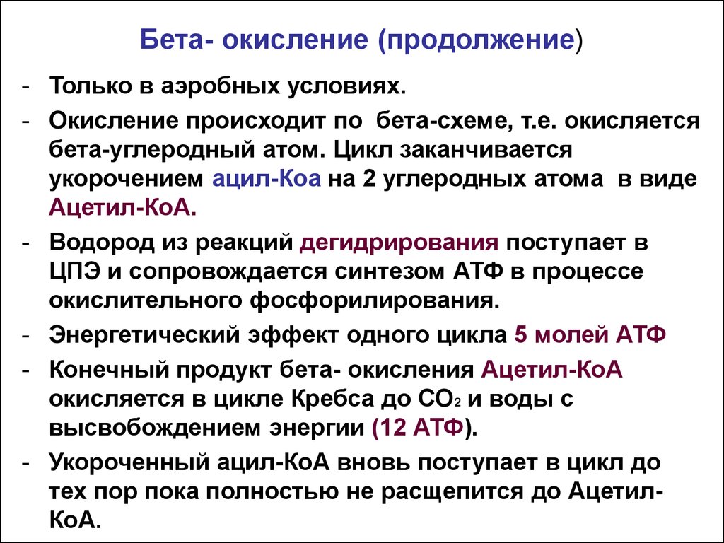 Процесс бета окисления. Реакции бета окисления жирных кислот. Ключевой фермент бета окисление жирных кислот. Бета окисление схема. Бета окисление липидов.