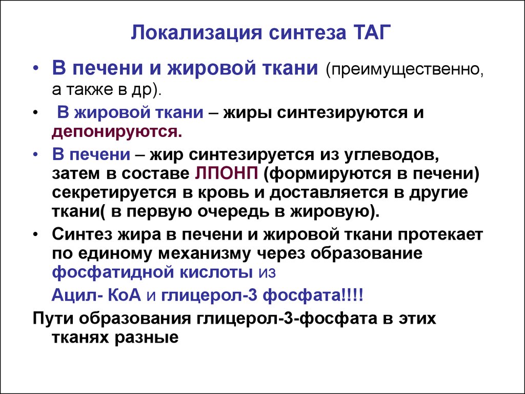 Особенности синтеза. Синтез таг в печени и жировой ткани. Биосинтез таг в жировой ткани и печени. Синтез триацилглицеридов в печени и жировой ткани. Различия синтеза таг в печени и жировой ткани.