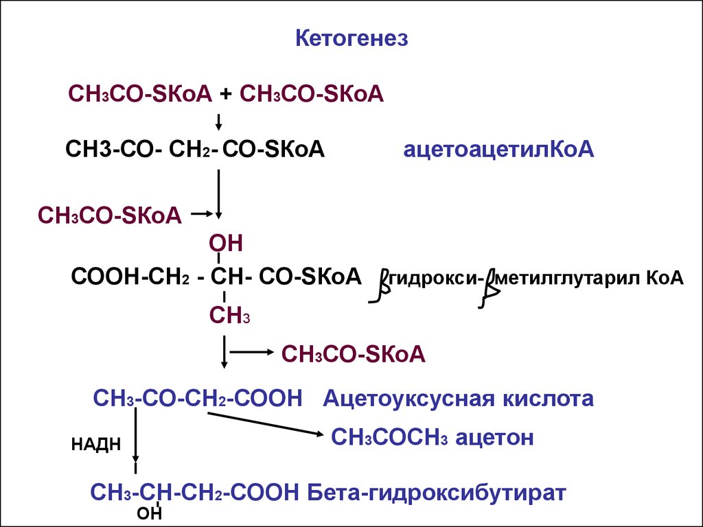 Теле синтез. Кетогенез биохимия реакции. Бета Окси бета метилглутарил КОА. Последовательность реакций кетогенеза. Кетогенез химизм.