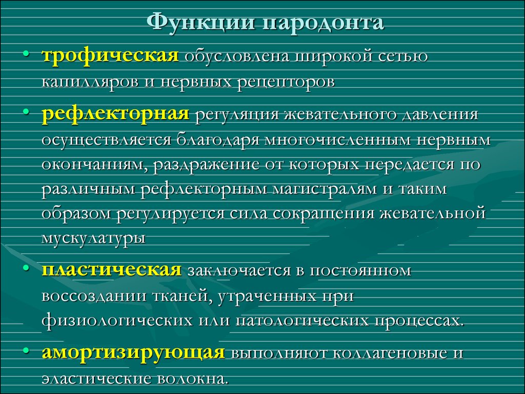 Роль около. Функции тканей пародонта. Функции периодонта. Перечислить функции периодонта. Пародонт строение и функции.