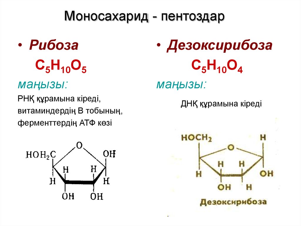 Моносахариды в составе днк