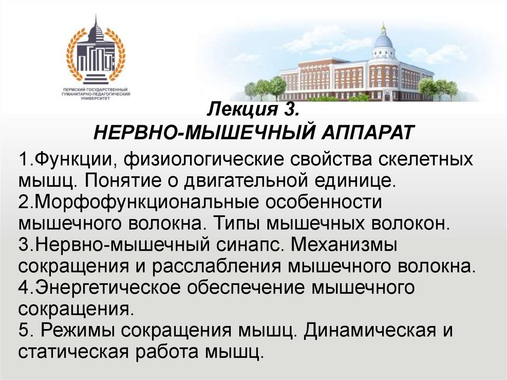 Нервно-мышечный аппарат - презентация онлайн