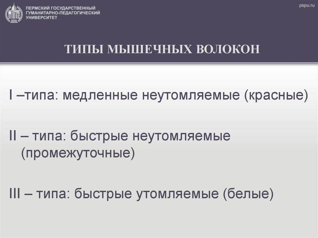 Тип быстрого. Медленные неутомляемые, быстрые утомляемые, промежуточные.. Медленные неутомляемые мышечные волокна i типа. Быстрые неутомляемые волокна пример. Быстрые утомляемые быстрые неутомляемые.