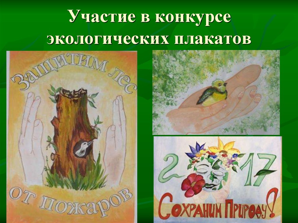 Участие в конкурсе экологических плакатов