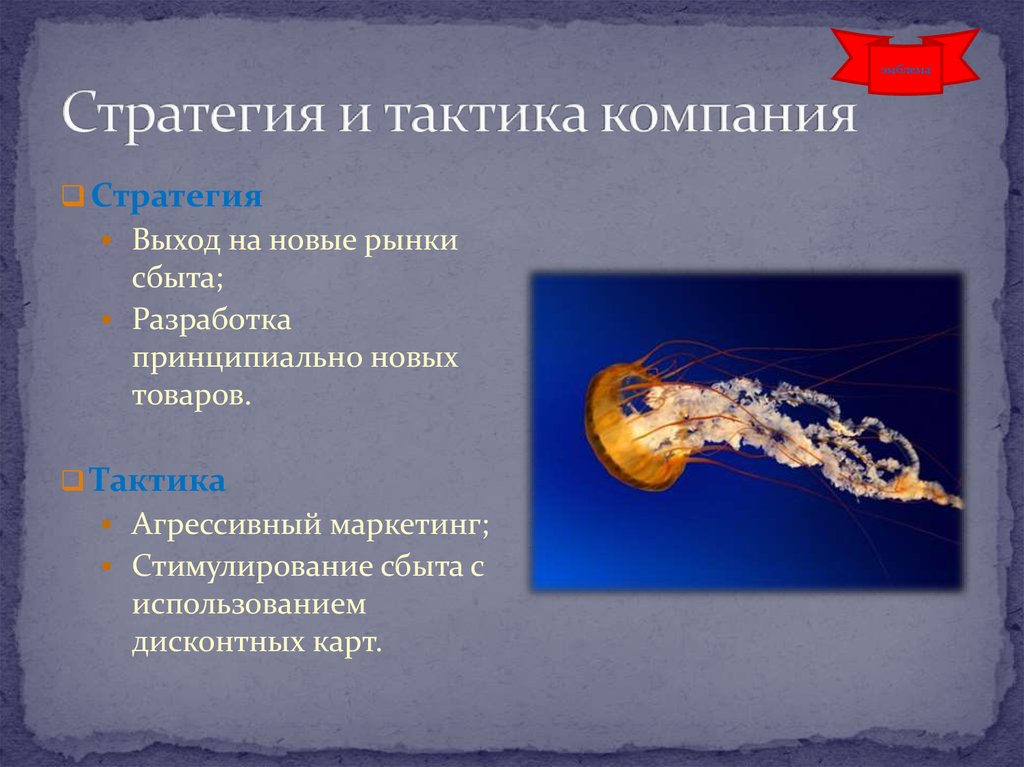 Стратегия и тактика компания