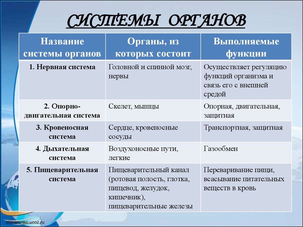 Карта и ее функции. Таблица по биологии 8 класс система органов органы функции. Таблица по биологии 8 класс название системы органы функции. Система органов человека таблица название системы / органы/ функции. Таблица система органов и органы входящие в систему.