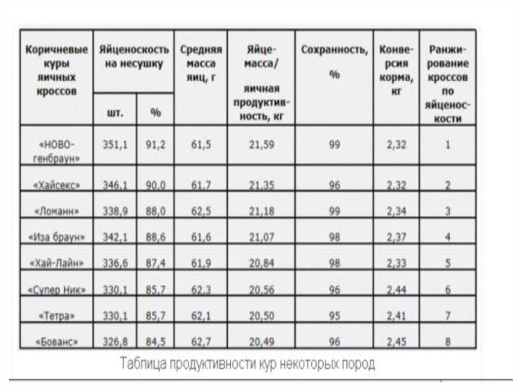 Методы оценки экстерьера и интерьера птицы