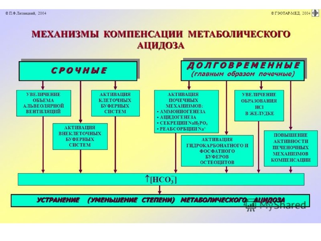 Механизм компенсации. Механизмы компенсации метаболического ацидоза. Механизмы развития метаболического декомпенсированного ацидоза. Механизмы компенсации газового ацидоза. Механизм развития метаболического ацидоза.