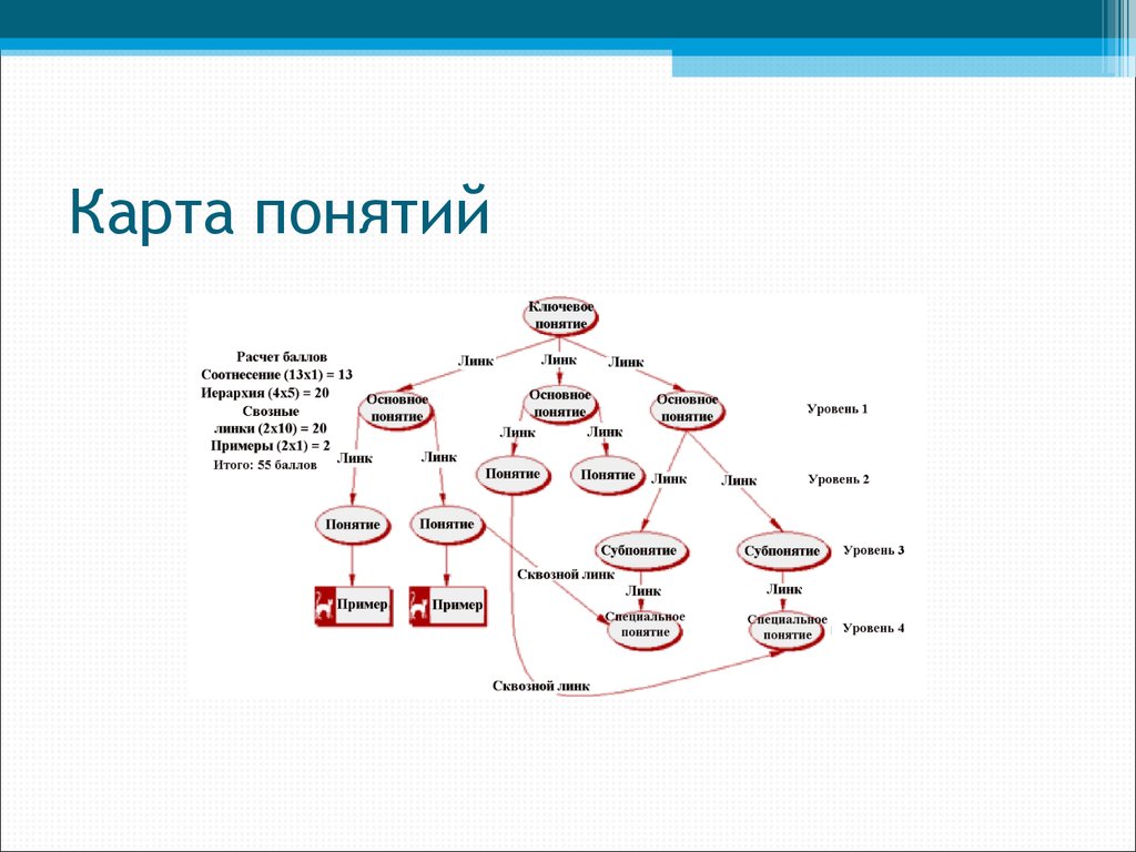 Может ли карта понятий выполненная группой учащихся оцениваться в баллах