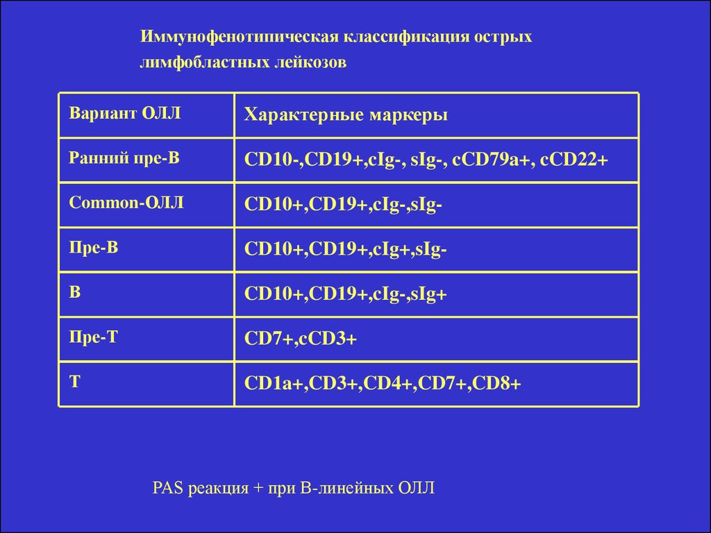 Острые лимфобластные лейкозы тест нмо. Острый лимфобластный лейкоз в2 common. Острый лимфобластный лейкоз в2. Острый лимфобластный лейкоз классификация. Классификация острых лейкозов.