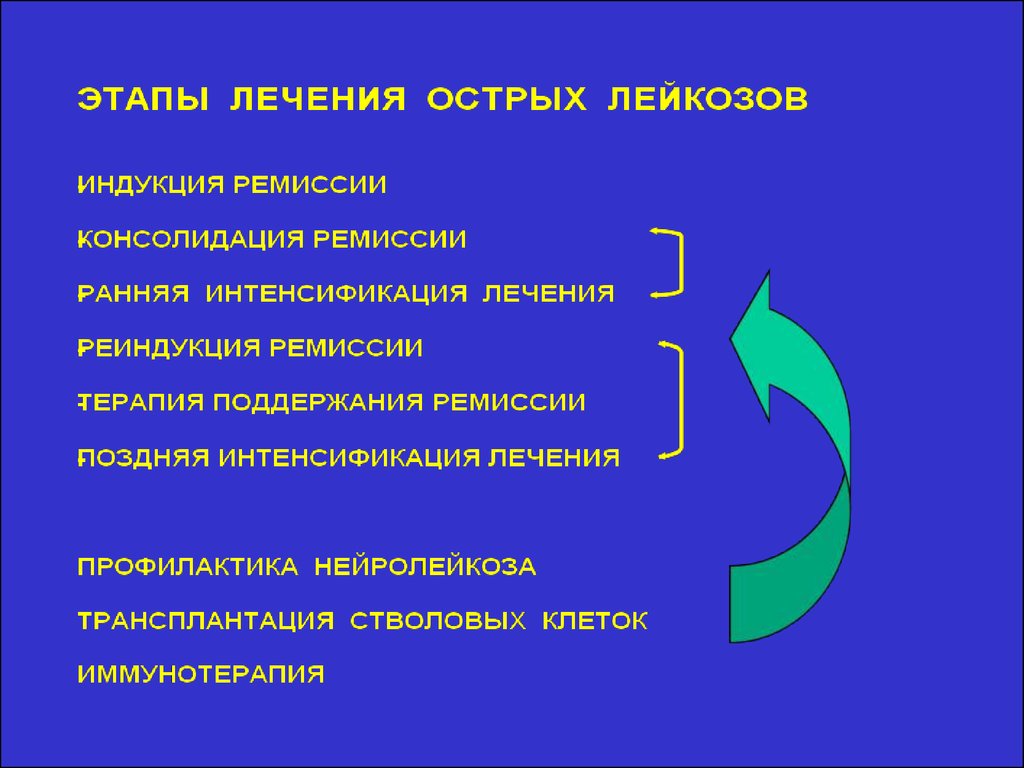 Ремиссия острого лейкоза. Индукция острого лейкоза. Этапы лечения лейкоза. Этапы лечения острого лейкоза. Индукция ремиссии острого лейкоза.