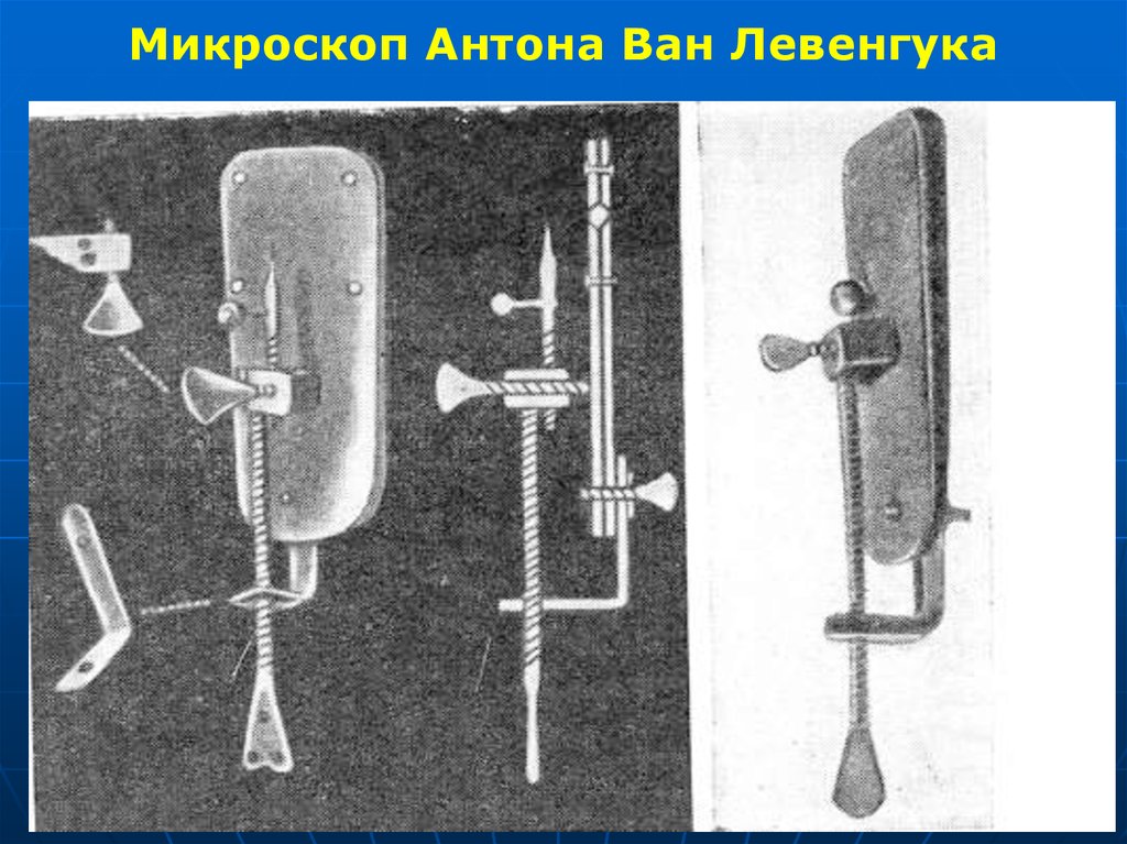 Антони ван левенгук микроскоп фото